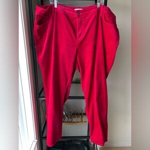 Loft Plus Luxurious Magenta Pink Velvet Straight Leg Pants Vibrant Soft Sexy EUC